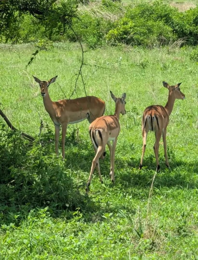 Bwindi Impenetrable National Park